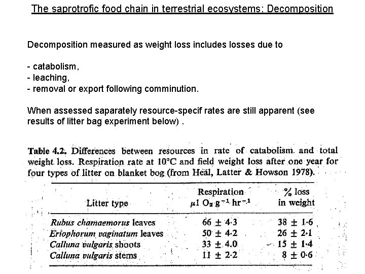 The saprotrofic food chain in terrestrial ecosystems: Decomposition measured as weight loss includes losses