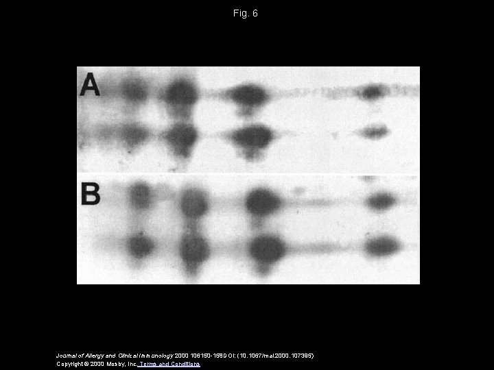 Fig. 6 Journal of Allergy and Clinical Immunology 2000 106150 -158 DOI: (10. 1067/mai.