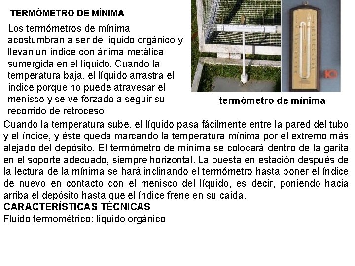 TERMÓMETRO DE MÍNIMA Los termómetros de mínima acostumbran a ser de líquido orgánico y