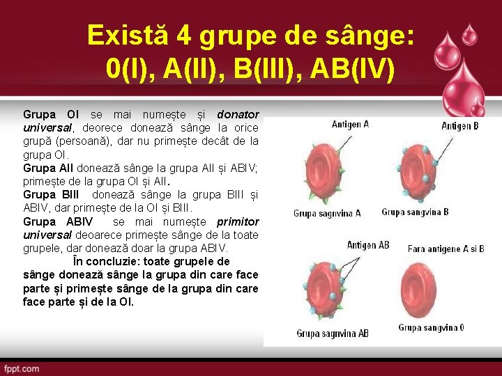 Există 4 grupe de sânge: 0(I), A(II), B(III), AB(IV) Grupa OI se mai numește