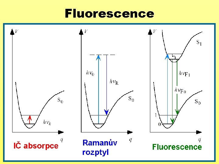 Fluorescence 