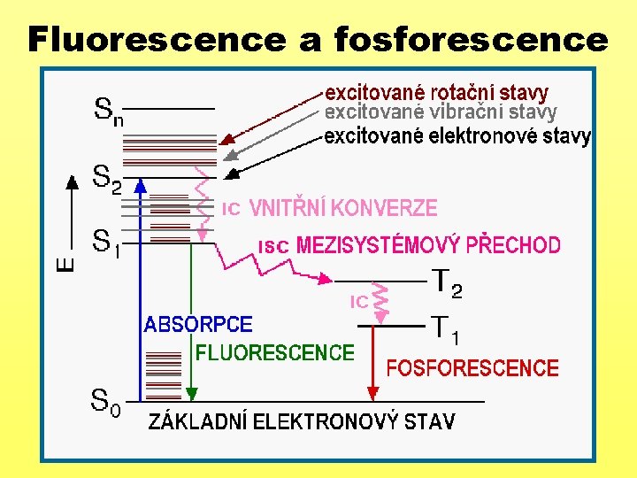 Fluorescence a fosforescence 