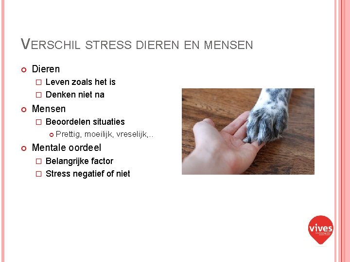 VERSCHIL STRESS DIEREN EN MENSEN Dieren Leven zoals het is � Denken niet na