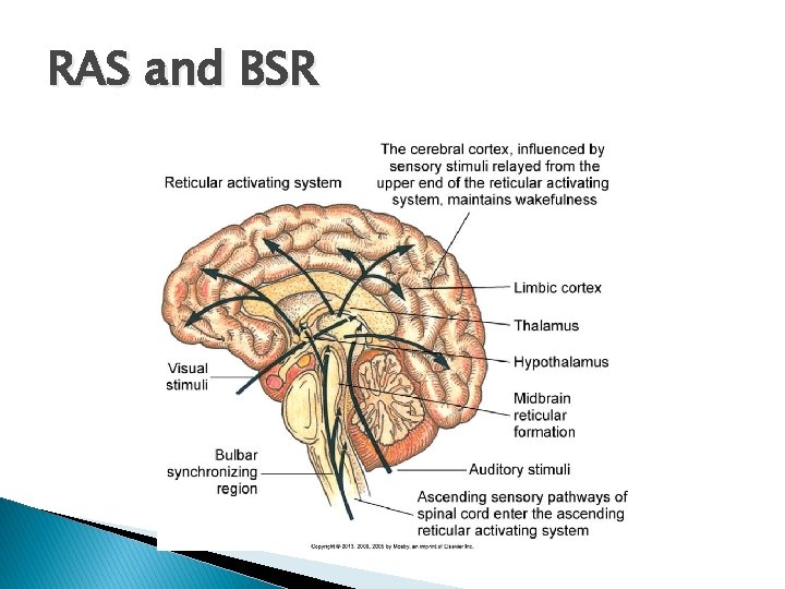 RAS and BSR 