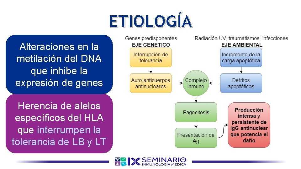ETIOLOGÍA Alteraciones en la metilación del DNA que inhibe la expresión de genes Herencia ETIOLOGÍA Alteraciones en la metilación del DNA que inhibe la expresión de genes Herencia