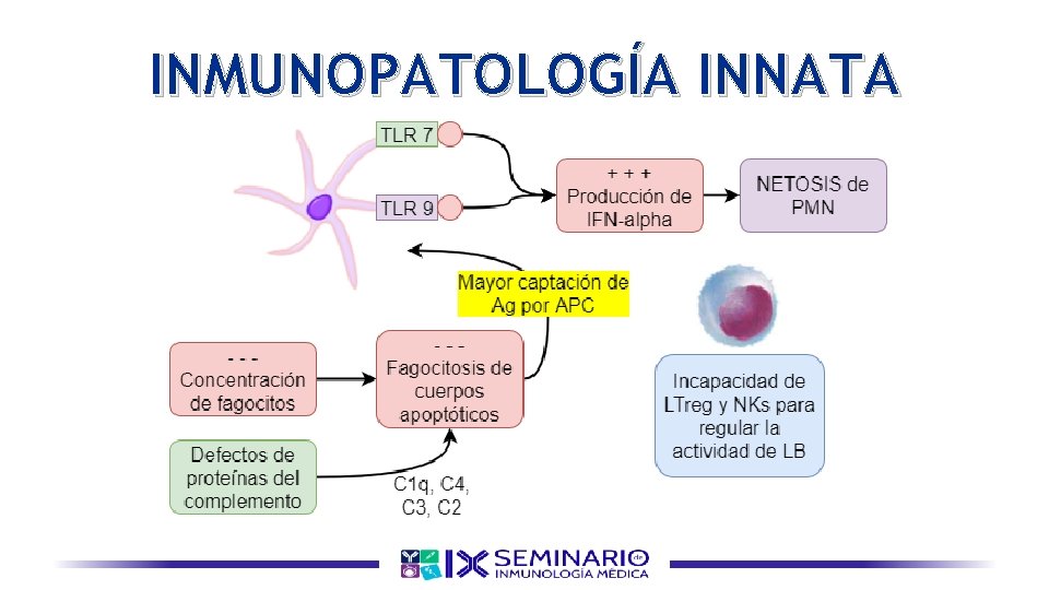 INMUNOPATOLOGÍA INNATA 