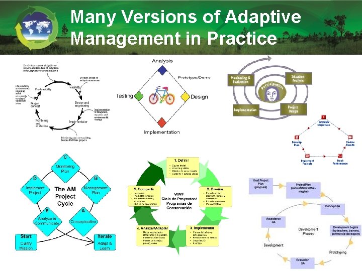 Many Versions of Adaptive Management in Practice Many Versions of Adaptive Management in Practice