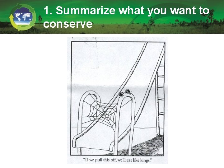 1. Summarize what you want to conserve 1. Summarize what you want to conserve