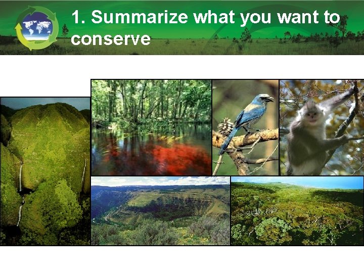 1. Summarize what you want to conserve 1. Summarize what you want to conserve