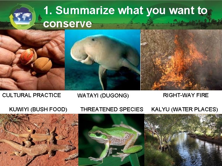 1. Summarize what you want to conserve CULTURAL PRACTICE KUWIYI (BUSH FOOD) WATAYI (DUGONG) 1. Summarize what you want to conserve CULTURAL PRACTICE KUWIYI (BUSH FOOD) WATAYI (DUGONG)