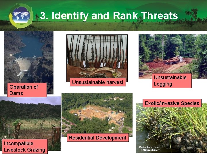 3. Identify and Rank Threats Operation of Dams Unsustainable harvest Unsustainable Logging Exotic/Invasive Species 3. Identify and Rank Threats Operation of Dams Unsustainable harvest Unsustainable Logging Exotic/Invasive Species