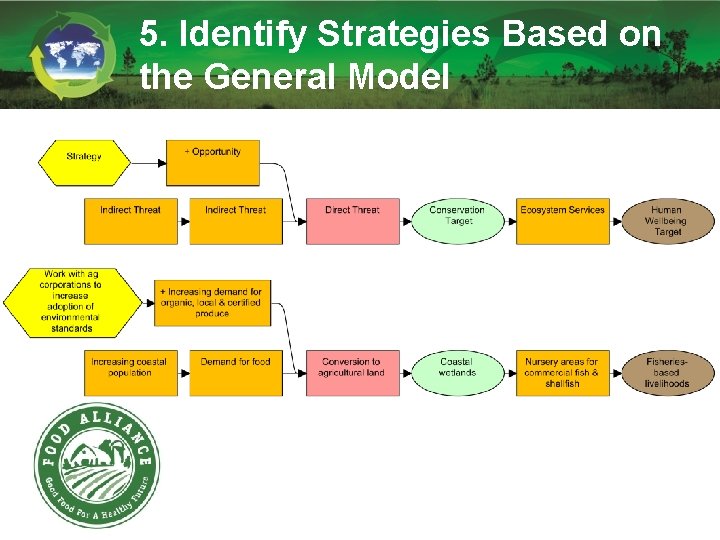 5. Identify Strategies Based on the General Model 5. Identify Strategies Based on the General Model