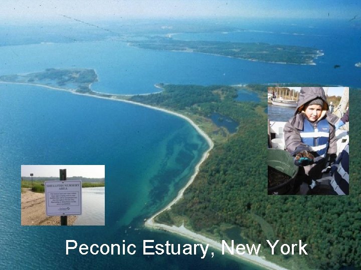 Peconic Estuary, New York Peconic Estuary, New York