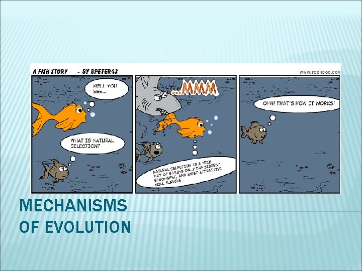 MECHANISMS OF EVOLUTION 