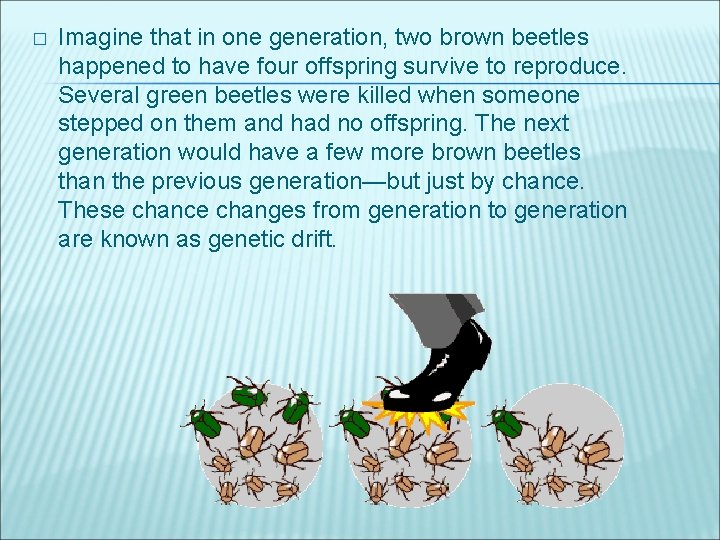 � Imagine that in one generation, two brown beetles happened to have four offspring