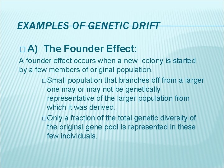 EXAMPLES OF GENETIC DRIFT � A) The Founder Effect: A founder effect occurs when