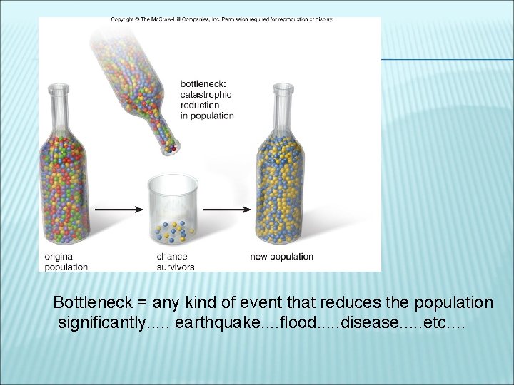 Bottleneck = any kind of event that reduces the population significantly. . . earthquake.