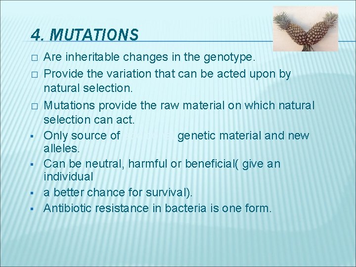 4. MUTATIONS � � � § § Are inheritable changes in the genotype. Provide