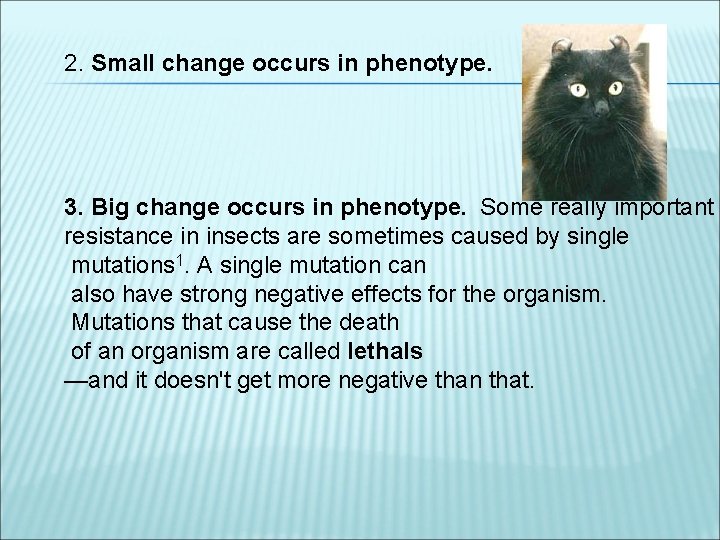 2. Small change occurs in phenotype. 3. Big change occurs in phenotype.  Some really