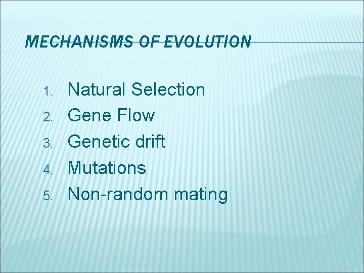 MECHANISMS OF EVOLUTION 1. 2. 3. 4. 5. Natural Selection Gene Flow Genetic drift