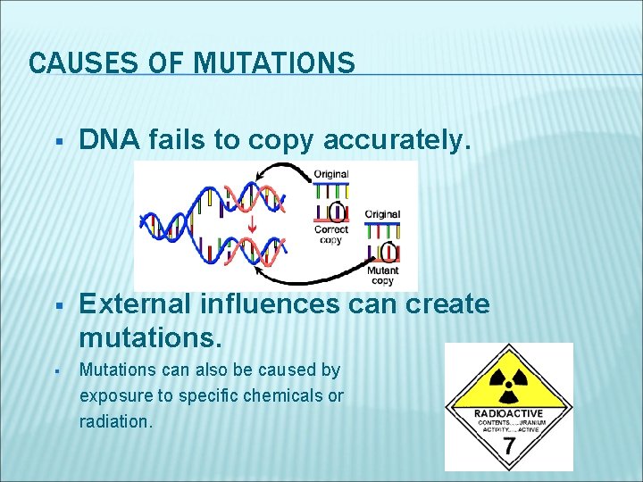 CAUSES OF MUTATIONS § DNA fails to copy accurately. § External influences can create