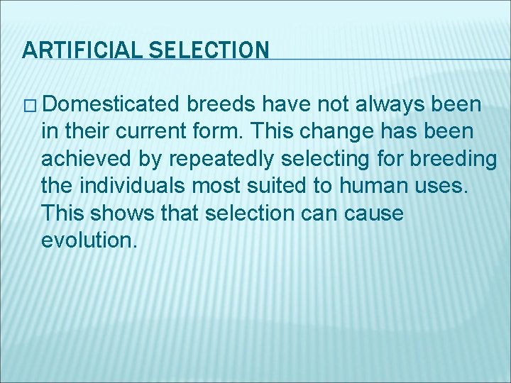 ARTIFICIAL SELECTION � Domesticated breeds have not always been in their current form. This