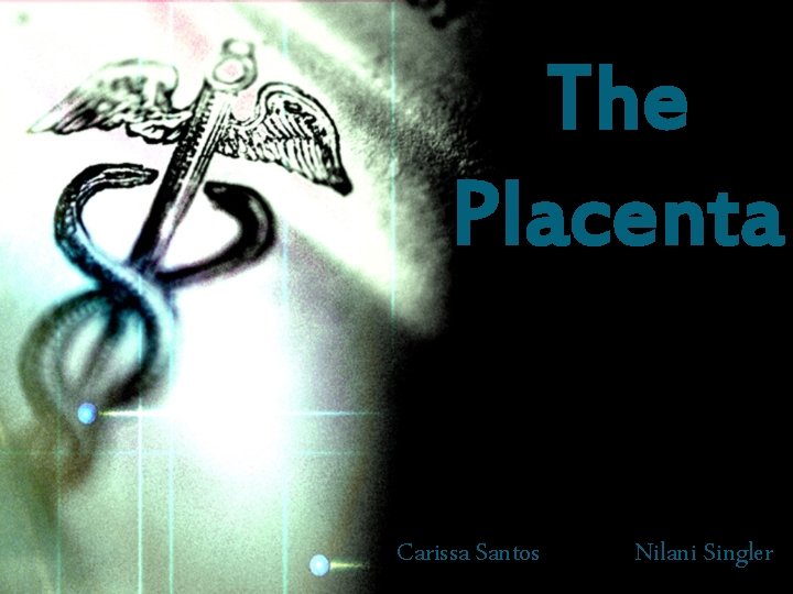 The Placenta Carissa Santos Nilani Singler 