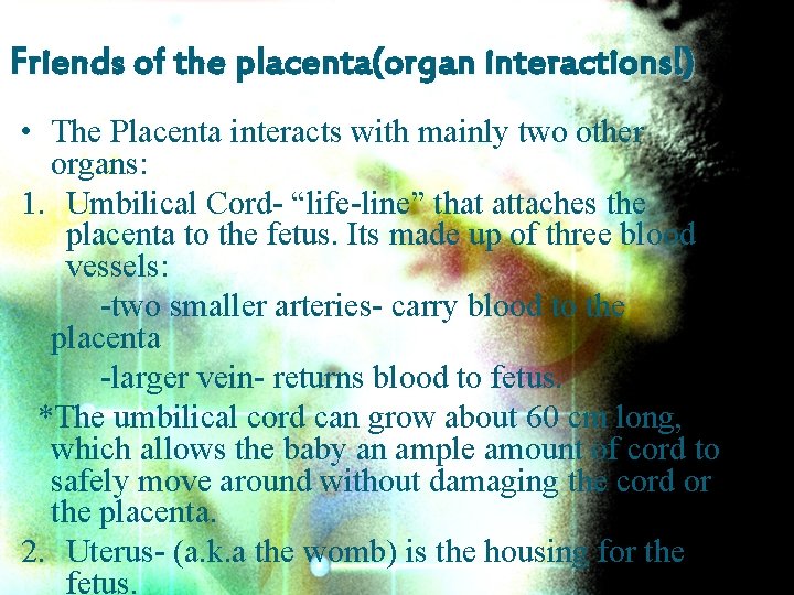 Friends of the placenta(organ interactions!) • The Placenta interacts with mainly two other organs: