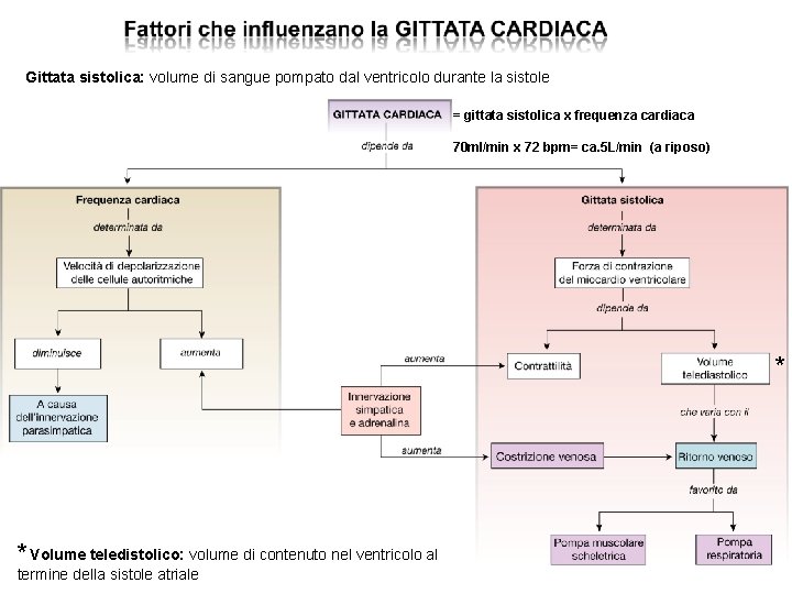 Gittata sistolica: volume di sangue pompato dal ventricolo durante la sistole = gittata sistolica