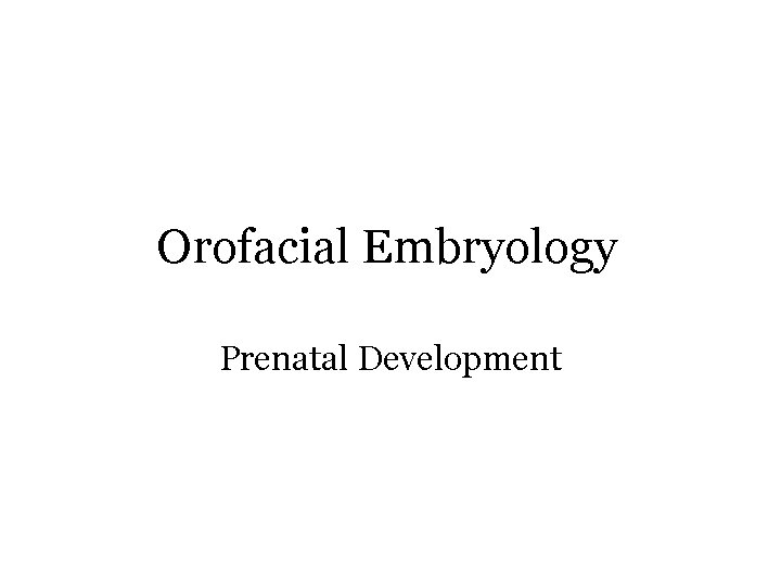 Orofacial Embryology Prenatal Development 