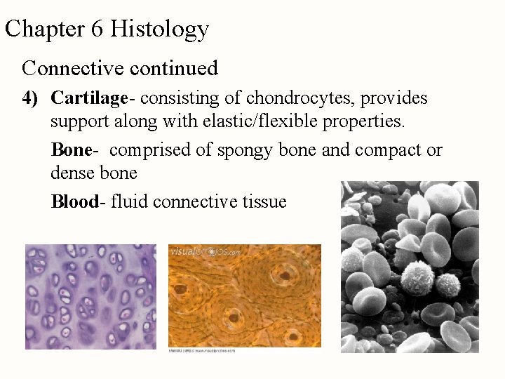 Chapter 6 Histology Connective continued 4) Cartilage- consisting of chondrocytes, provides support along with