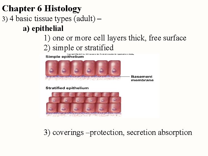 Chapter 6 Histology 3) 4 basic tissue types (adult) – a) epithelial 1) one