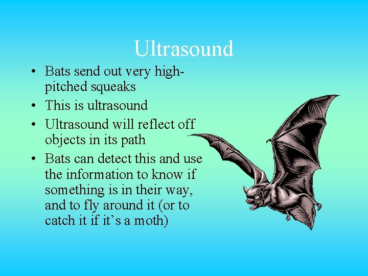 Ultrasound • Bats send out very highpitched squeaks • This is ultrasound • Ultrasound