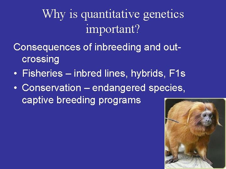 Why is quantitative genetics important? Consequences of inbreeding and outcrossing • Fisheries – inbred