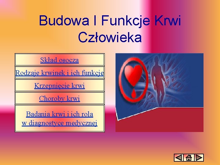 Budowa I Funkcje Krwi Człowieka Skład osocza Rodzaje krwinek i ich funkcje Krzepnięcie krwi