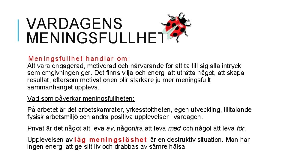 VARDAGENS MENINGSFULLHET Meningsfullhet handlar om: Att vara engagerad, motiverad och närvarande för att ta