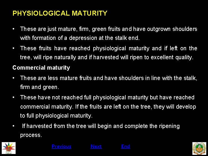 PHYSIOLOGICAL MATURITY • These are just mature, firm, green fruits and have outgrown shoulders