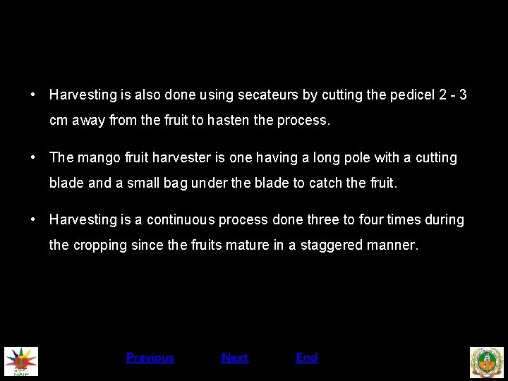  • Harvesting is also done using secateurs by cutting the pedicel 2 -