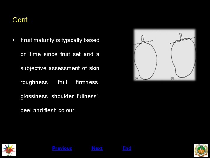 Cont. . • Fruit maturity is typically based on time since fruit set and