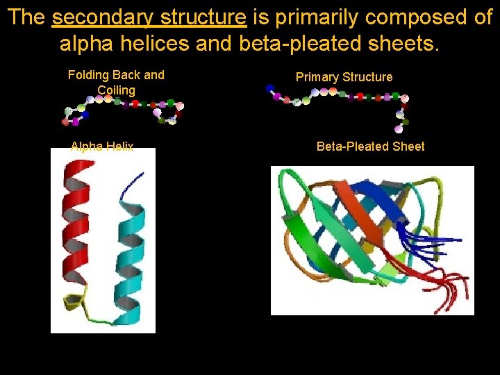 The secondary structure is primarily composed of alpha helices and beta-pleated sheets. Folding Back