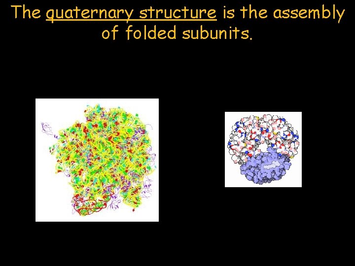 The quaternary structure is the assembly of folded subunits. 