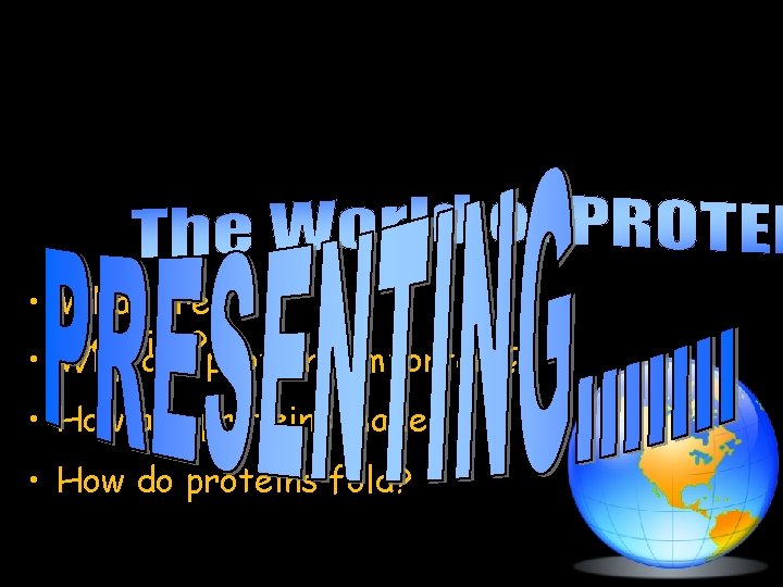  • What are proteins? • Why are proteins important? • How are proteins