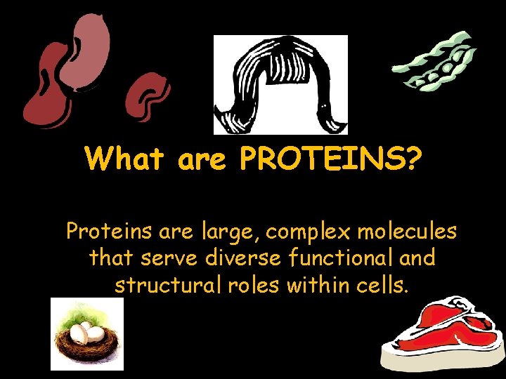 What are PROTEINS? Proteins are large, complex molecules that serve diverse functional and structural