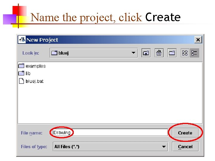 Name the project, click Create 