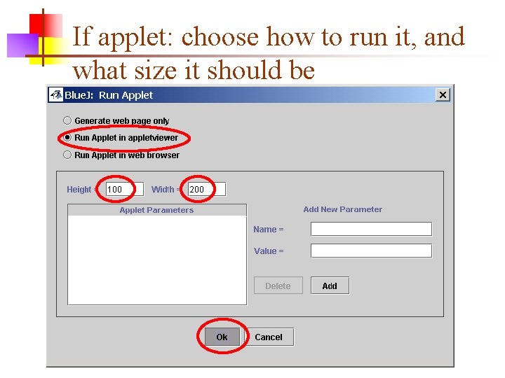 If applet: choose how to run it, and what size it should be 