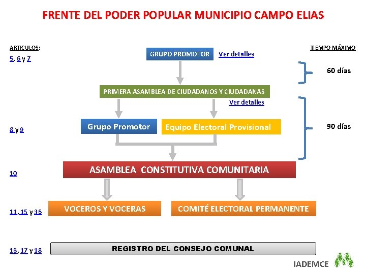 FRENTE DEL PODER POPULAR MUNICIPIO CAMPO ELIAS ARTICULOS: GRUPO PROMOTOR 5, 6 y 7