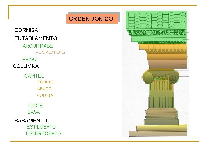 ORDEN JÓNICO CORNISA ENTABLAMENTO ARQUITRABE PLATABANDAS FRISO COLUMNA CAPITEL EQUINO ÁBACO VOLUTA FUSTE BASAMENTO