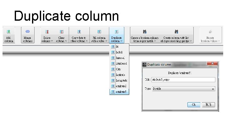 Duplicate column 