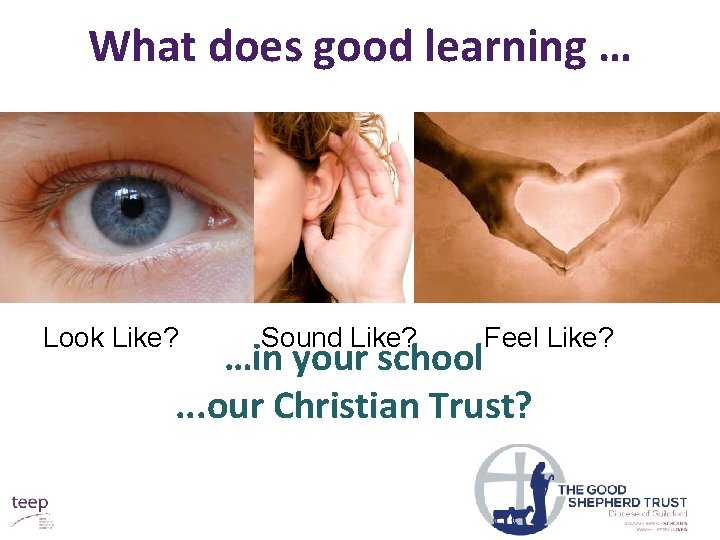 What does good learning … Look Like? Sound Like? Feel Like? …in your school.