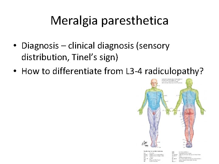 Meralgia paresthetica • Diagnosis – clinical diagnosis (sensory distribution, Tinel’s sign) • How to Meralgia paresthetica • Diagnosis – clinical diagnosis (sensory distribution, Tinel’s sign) • How to